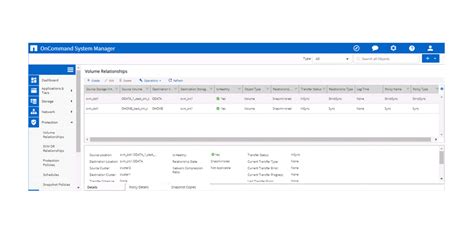 snap mirror failover and failback.